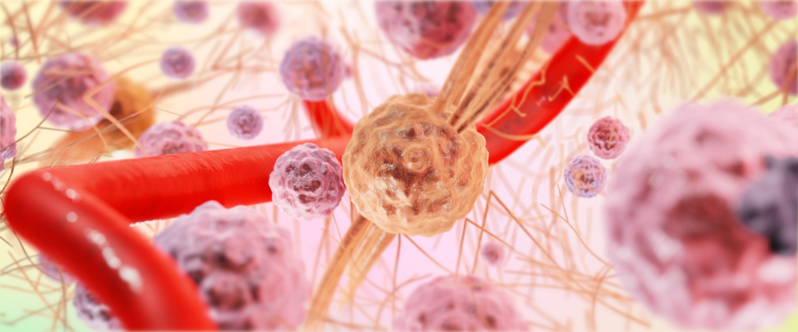 O desafio bioquímico para a evolução
