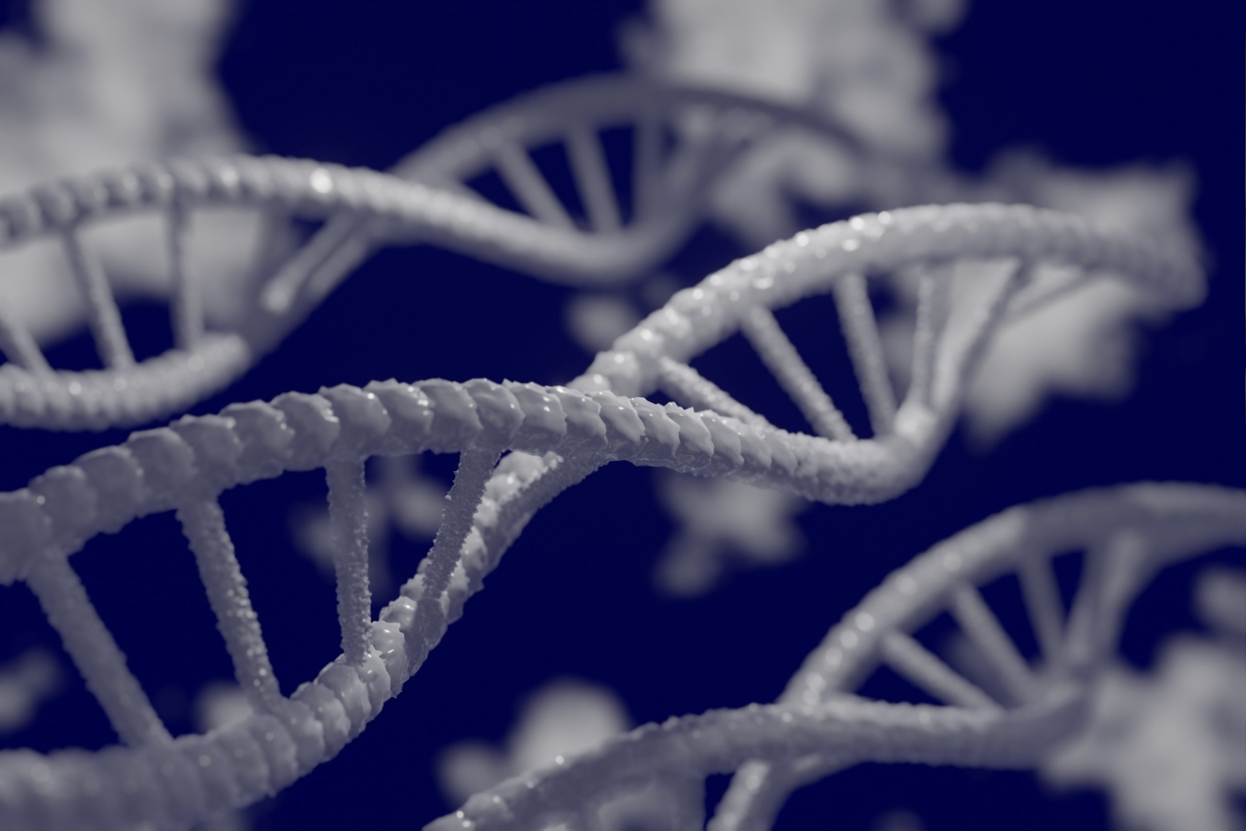 A nova ciência sobre o ADN desafia a evolução