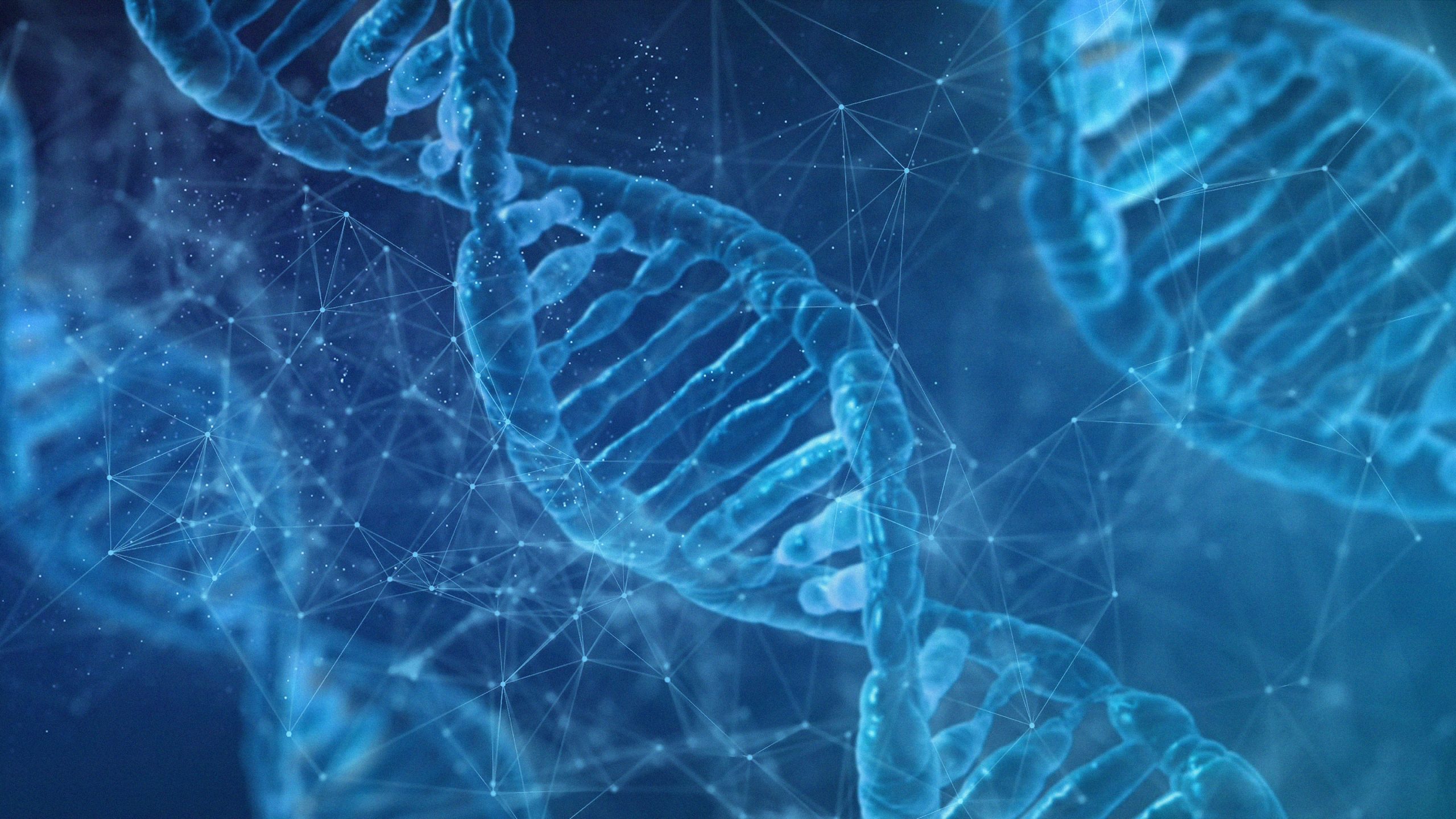 O limite da evolução: A busca pelos limites do Darwinismo